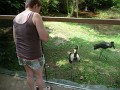 Annie with Saddlebill Stork